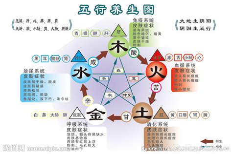 五行對應顏色|五行風水顏色上的相生相剋／對應生肖／對應行業，及。